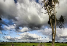 天涯小说神贴：那些年我们疯狂收藏的帖子！