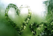 天涯小说神贴：那些年我们疯狂收藏的帖子！